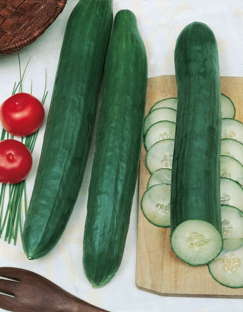 Uhorky hladké fóliové